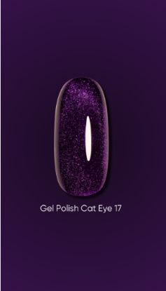  Зображення Dark Gel polish Cat Eye 17, 6ml 