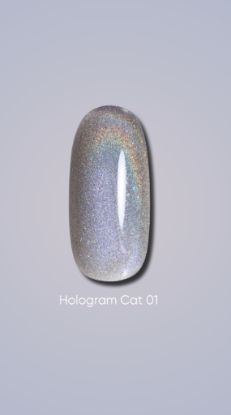  Зображення Гель лак Dark Hologram Cat 01, 6ml 