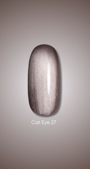  Зображення Гель лак Dark Cat Eye 27, 10ml 